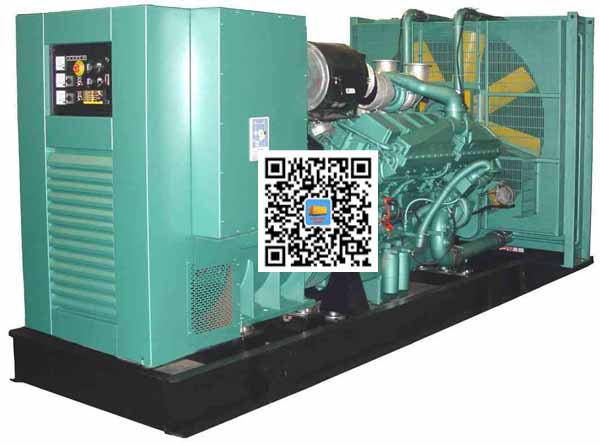 壤塘笼型异步发电机的电力电子控制技术