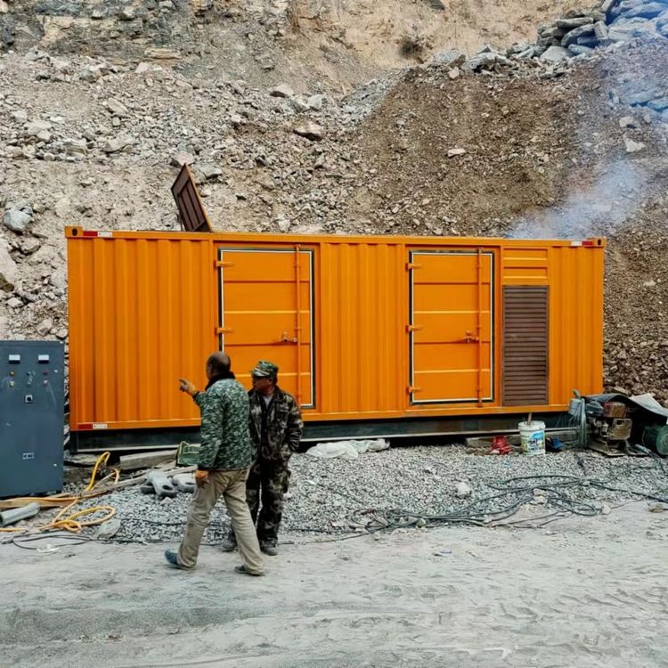 壤塘如何选择适合自己的 800KW 柴油发电机组？